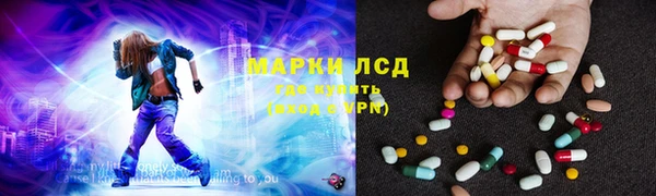 стаф Баксан