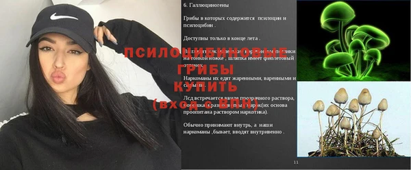 стаф Баксан