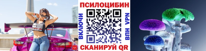 где купить наркоту  Вятские Поляны  Псилоцибиновые грибы Cubensis 