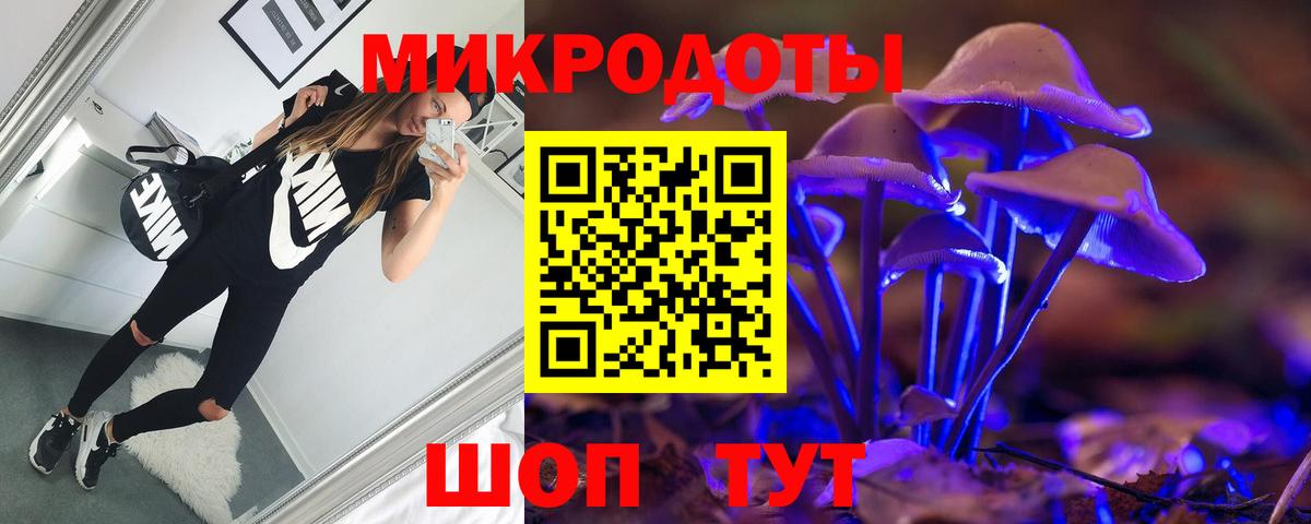 Псилоцибиновые грибы Psilocybe Вятские Поляны