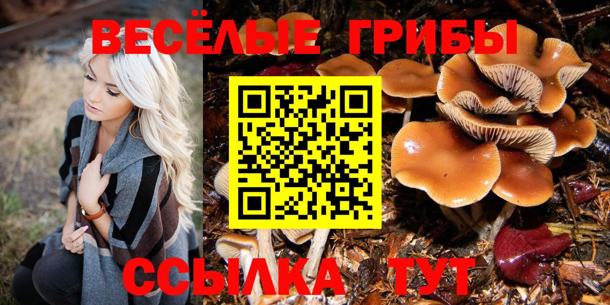 Псилоцибиновые грибы прущие грибы  продажа наркотиков  Псилоцибиновые грибы прущие грибы  Вятские Поляны  Вход с VPN 